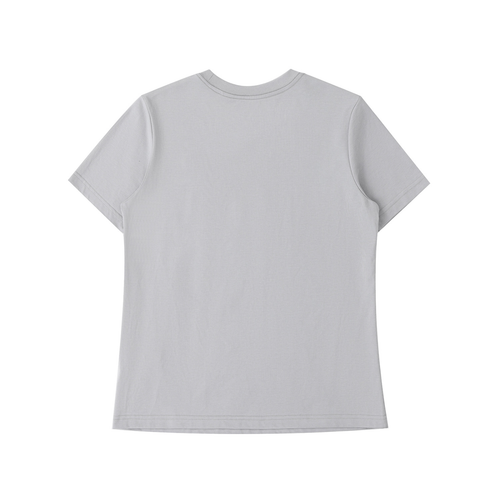 Antique Carriage Horse Light Gray Essential Standard Shoulder T-Shirt